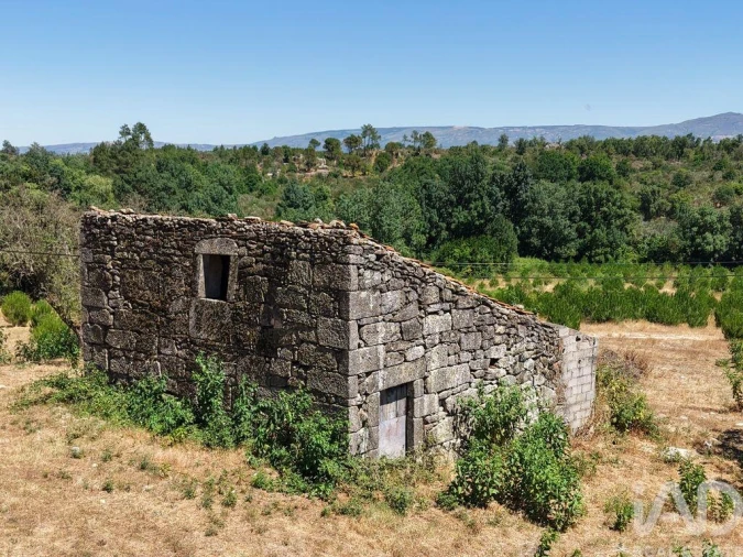 Terreno para Venda em Abrunhosa-A-Velha Foto 4