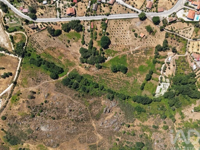 Terreno para Venda em Abrunhosa-A-Velha Foto 10
