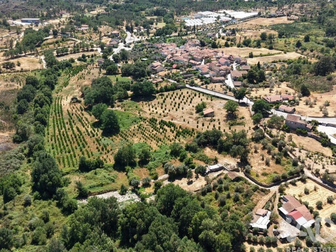 Terreno para Venda em Abrunhosa-A-Velha Foto 9