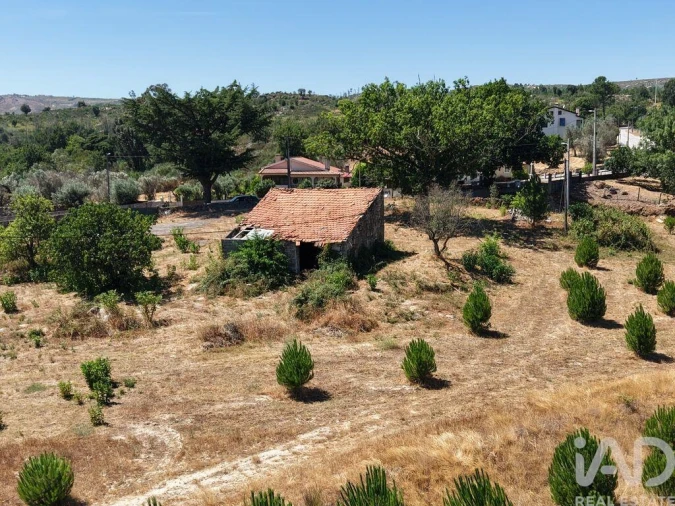 Terreno para Venda em Abrunhosa-A-Velha Foto 2