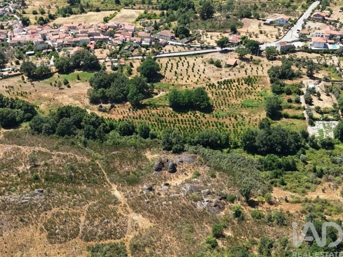 Terreno para Venda em Abrunhosa-A-Velha Foto 11