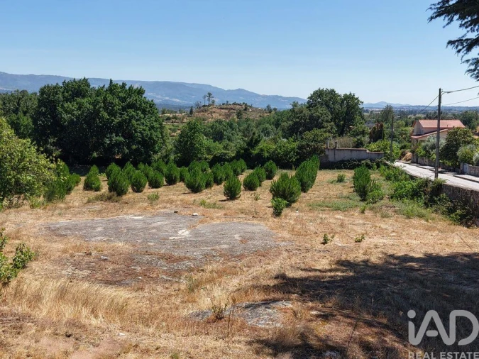 Terreno para Venda em Abrunhosa-A-Velha Foto 13
