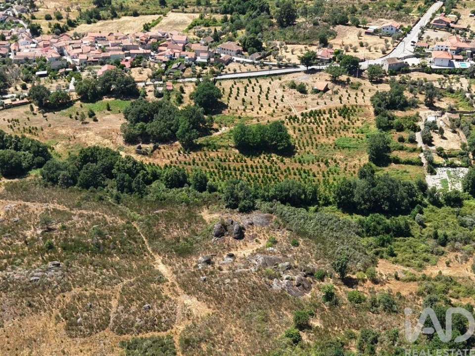 Terreno para Venda em Abrunhosa-A-Velha Foto 11