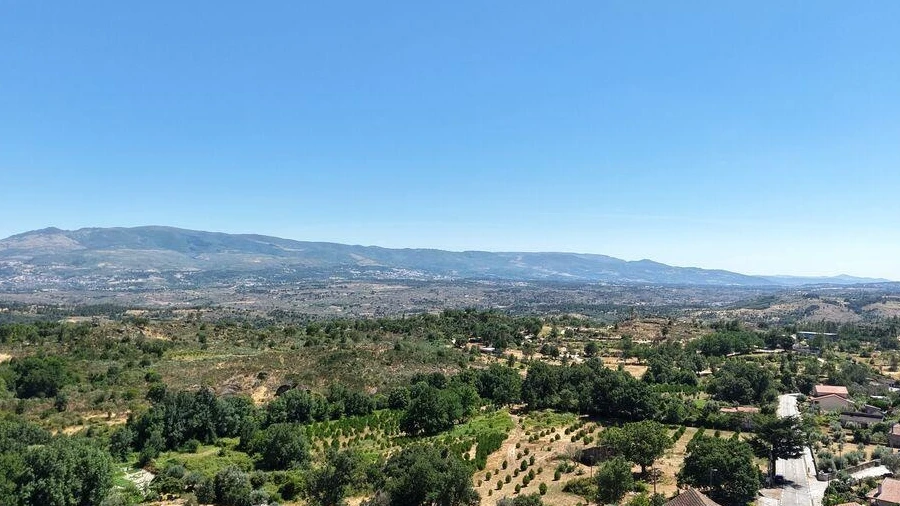 Terreno para Venda em Abrunhosa-A-Velha