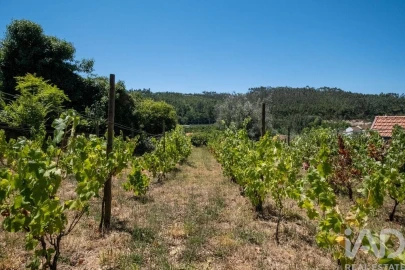 Moradia T3 para Venda em Espinho