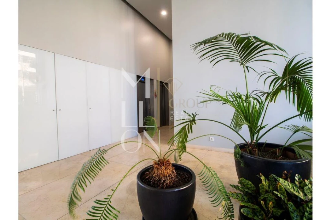 Apartamento T2 para Arrendamento em Cedofeita, Santo Ildefonso, Sé, Miragaia, São Nicolau e Vitória Foto 4
