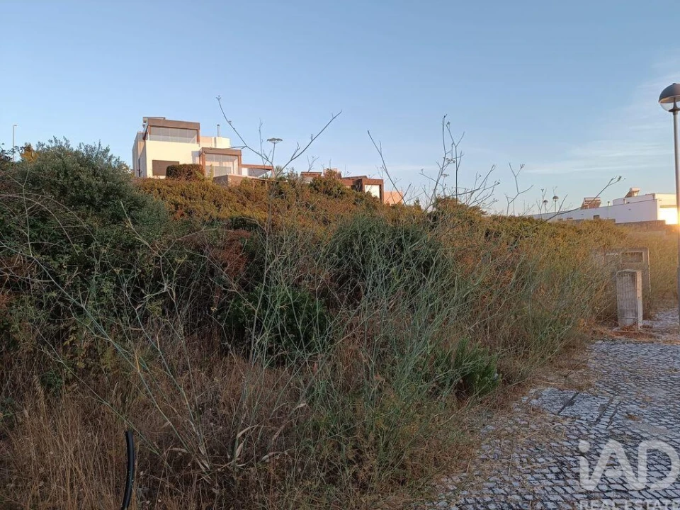 Terreno para Venda em Sesimbra (Castelo) Foto 11