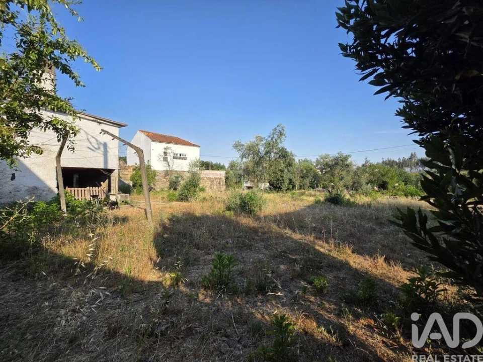 Moradia para Venda em Santa Comba Dão e Couto do Mosteiro Foto 3