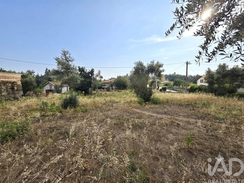 Moradia para Venda em Santa Comba Dão e Couto do Mosteiro Foto 15