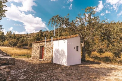 Quinta T10 para Venda em Leomil