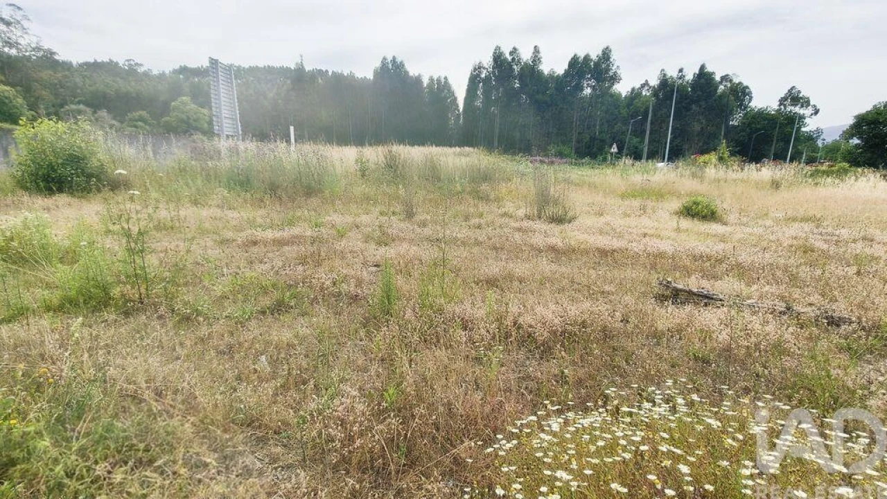 Terreno para Venda em Verdoejo Foto 8