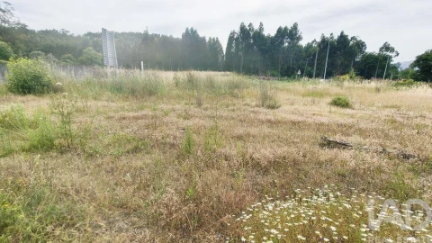 Terreno para Venda em Verdoejo