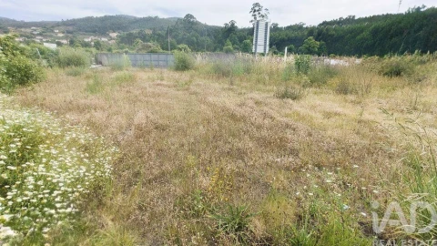 Terreno para Venda em Verdoejo
