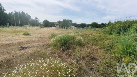 Terreno para Venda em Verdoejo