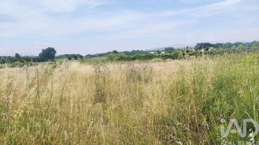 Terreno para Venda em Verdoejo Foto 5