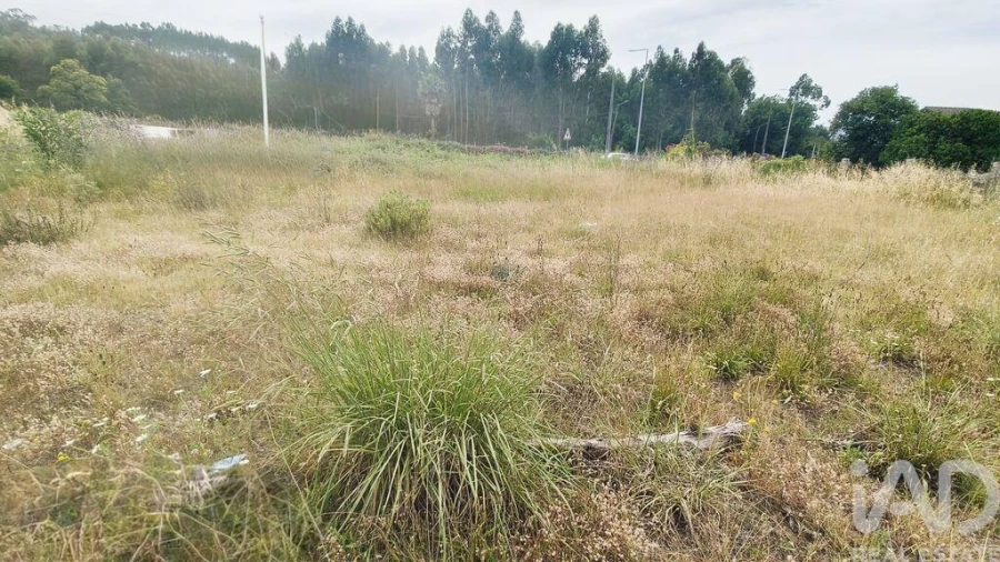 Terreno para Venda em Verdoejo Foto 9