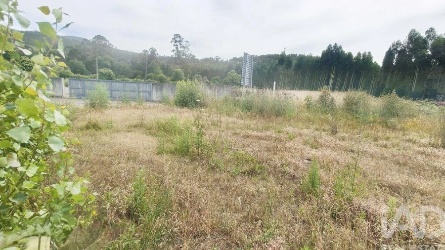 Terreno para Venda em Verdoejo
