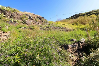 Terreno para Venda em Quinta Grande
