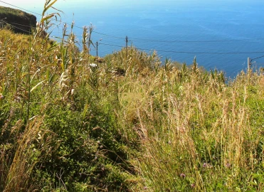 Terreno para Venda em Quinta Grande
