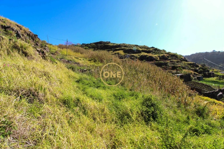 Terreno para Venda em Quinta Grande Foto 3