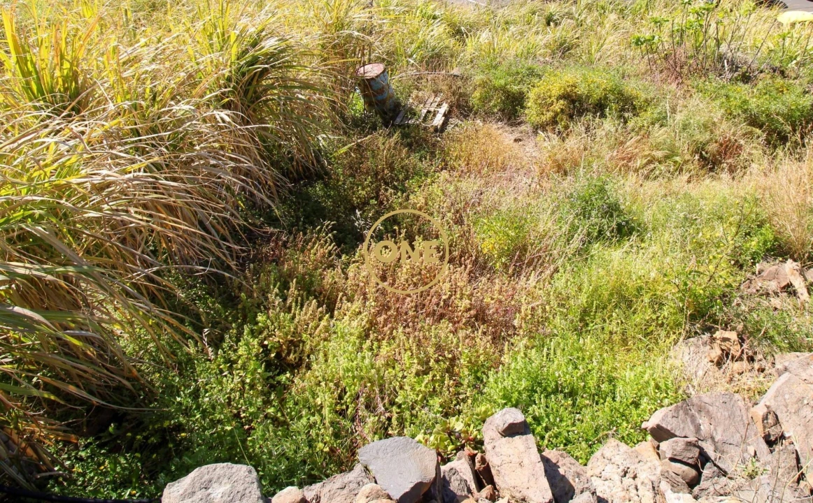 Terreno para Venda em Quinta Grande Foto 7