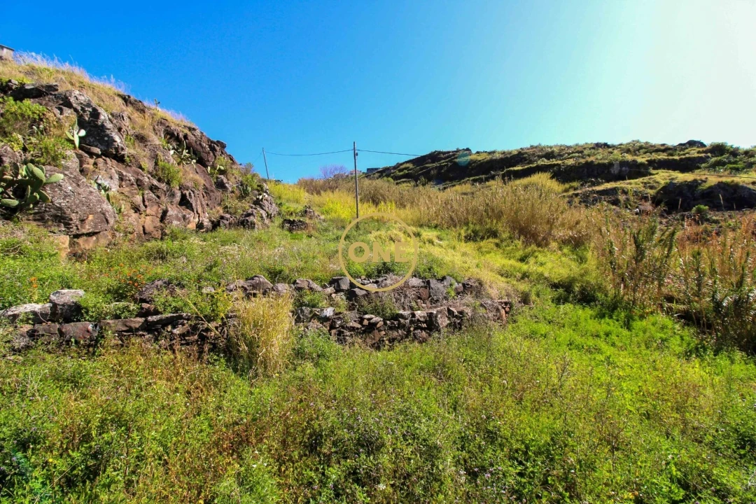 Terreno para Venda em Quinta Grande Foto 4
