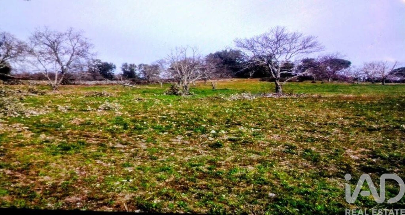 Terreno para Venda em Reguengo e São Julião Foto 5