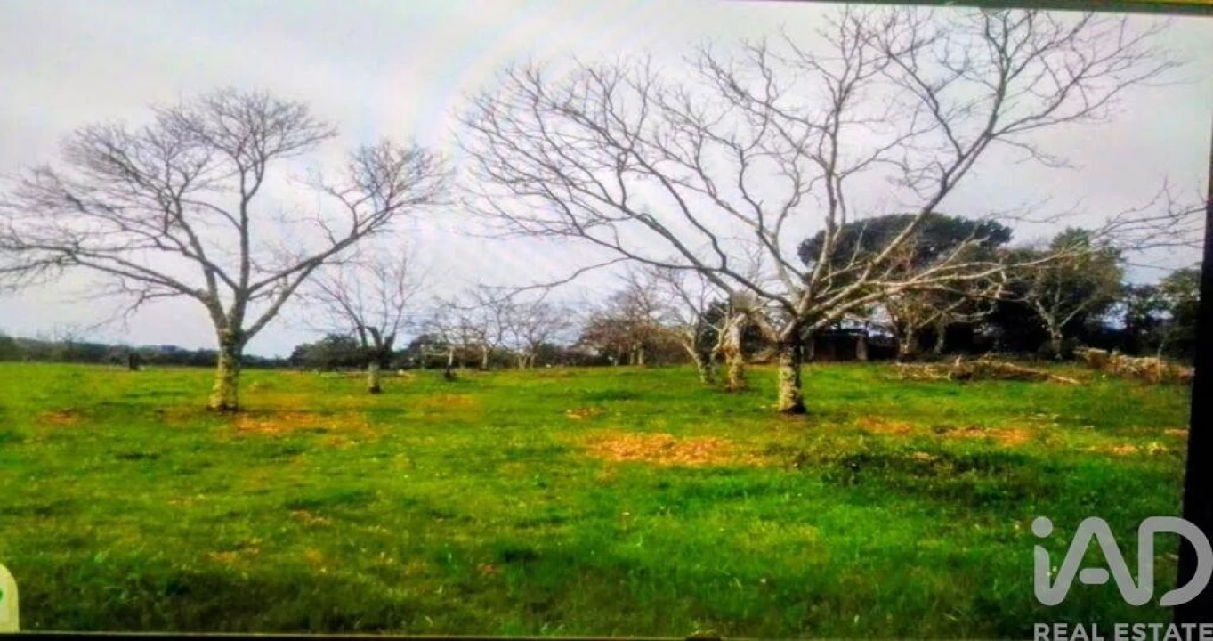 Terreno para Venda em Reguengo e São Julião Foto 2