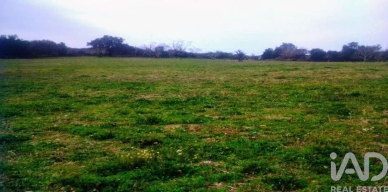 Terreno para Venda em Reguengo e São Julião