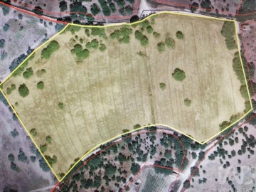 Terreno para Venda em Reguengo e São Julião