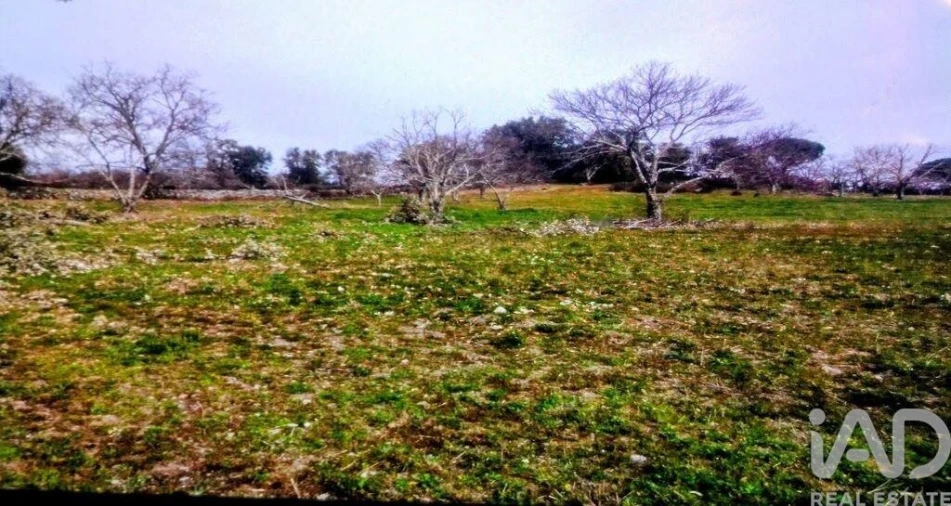 Terreno para Venda em Reguengo e São Julião Foto 5