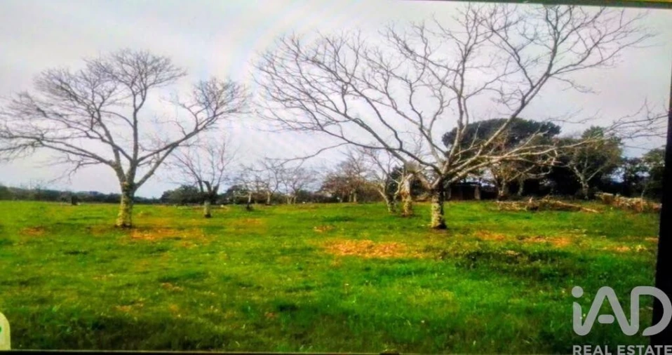 Terreno para Venda em Reguengo e São Julião Foto 2