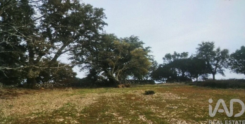 Terreno para Venda em Reguengo e São Julião Foto 4
