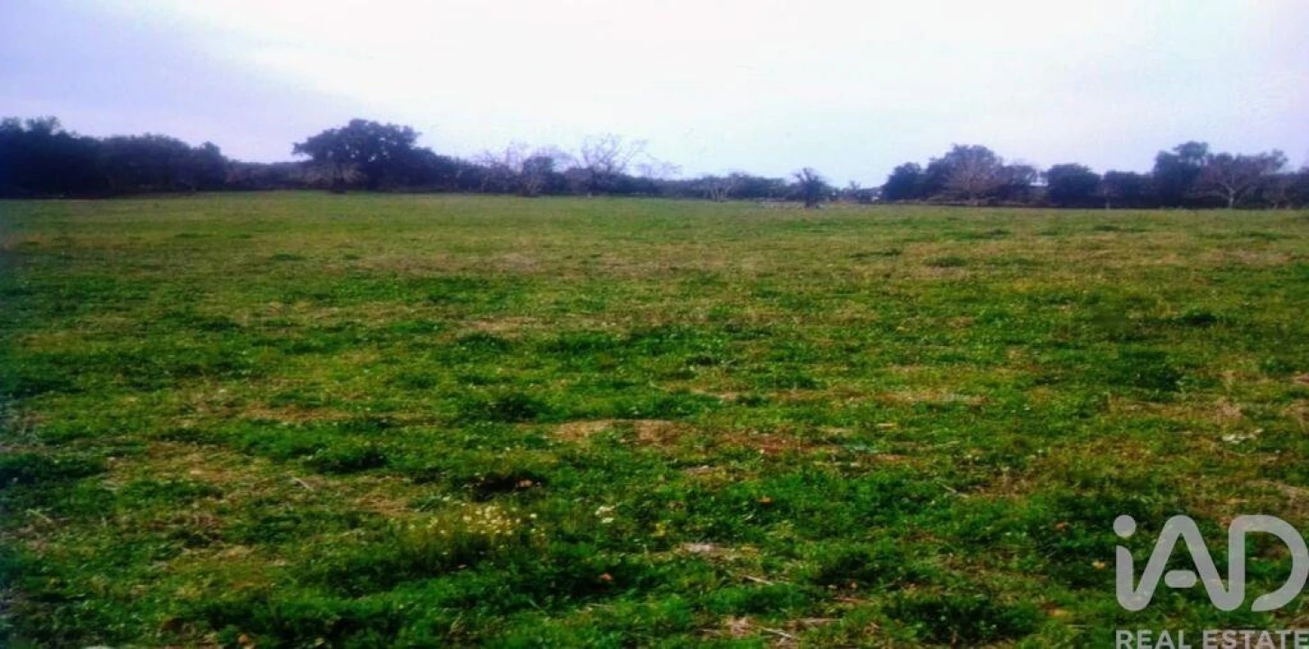 Terreno para Venda em Reguengo e São Julião Foto 3