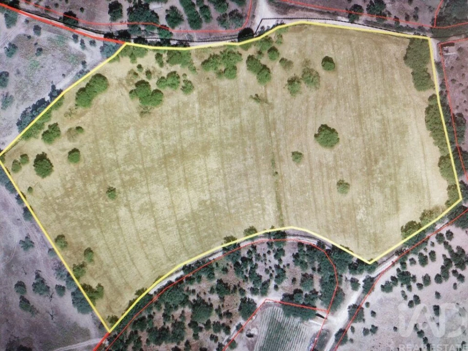 Terreno para Venda em Reguengo e São Julião Foto 1