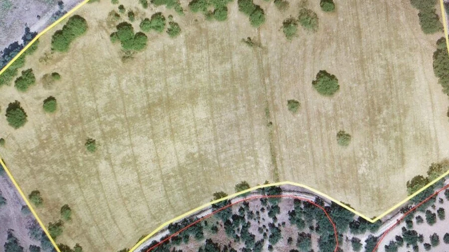 Terreno para Venda em Reguengo e São Julião