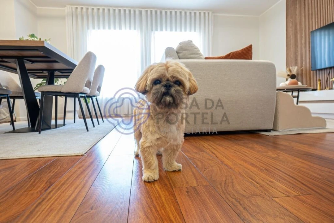 Apartamento T2 para Venda em Fânzeres e São Pedro da Cova Foto 18