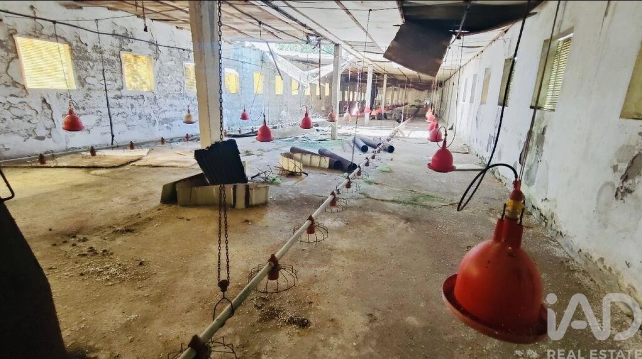 Quinta T2 para Venda em Fontoura Foto 31