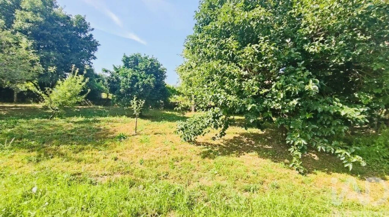 Quinta T2 para Venda em Fontoura Foto 21