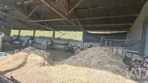 Quinta T2 para Venda em Fontoura