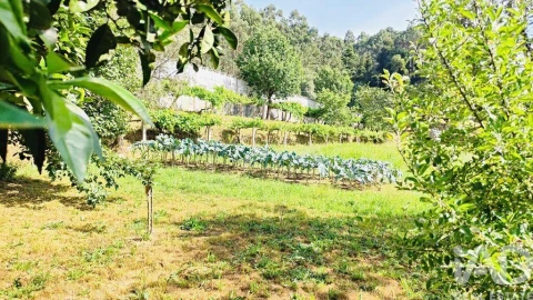 Quinta T2 para Venda em Fontoura