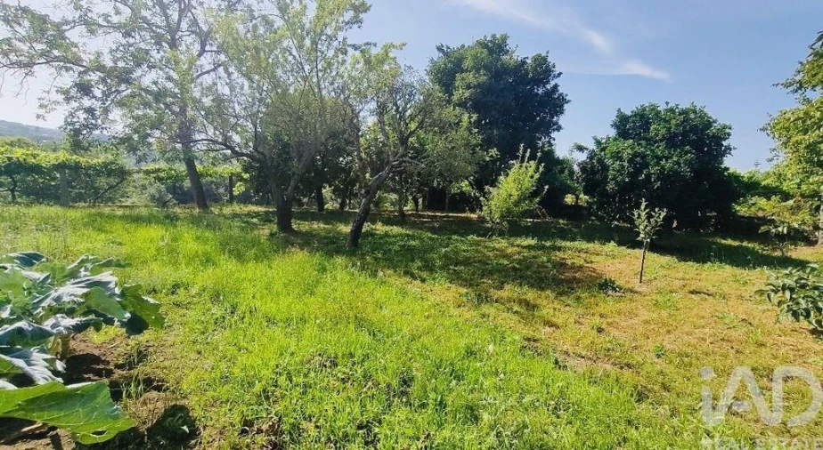 Quinta T2 para Venda em Fontoura Foto 25