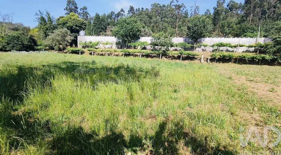 Quinta T2 para Venda em Fontoura Foto 28