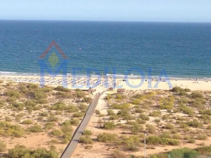 Apartamento para Venda em Altura Foto 5