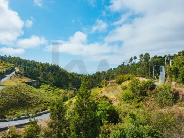 Terreno para Venda em Camacha
