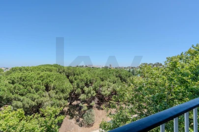 Apartamento T3 para Arrendamento em Alvalade