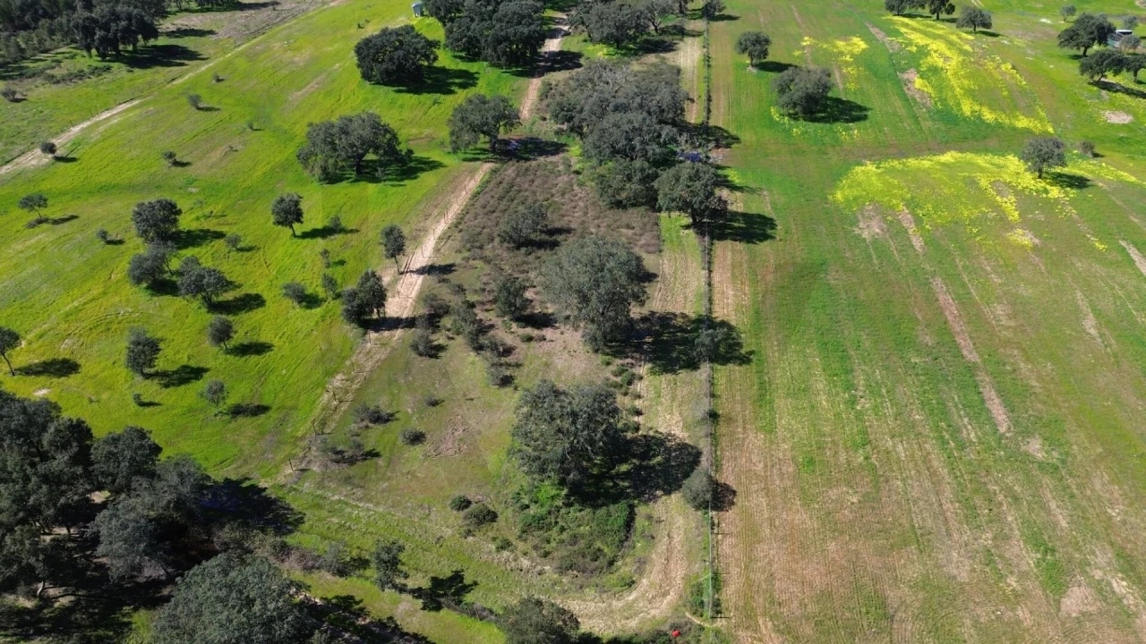 Terreno para Venda em São Domingos e Vale de Água Foto 3