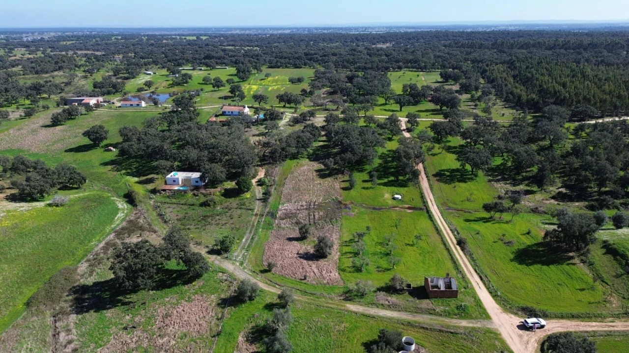 Terreno para Venda em São Domingos e Vale de Água Foto 2