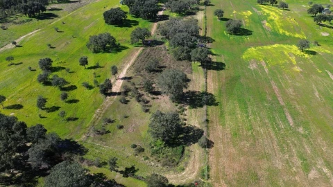 Terreno para Venda em São Domingos e Vale de Água