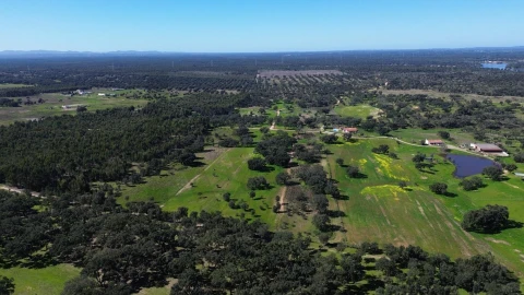 Terreno para Venda em São Domingos e Vale de Água